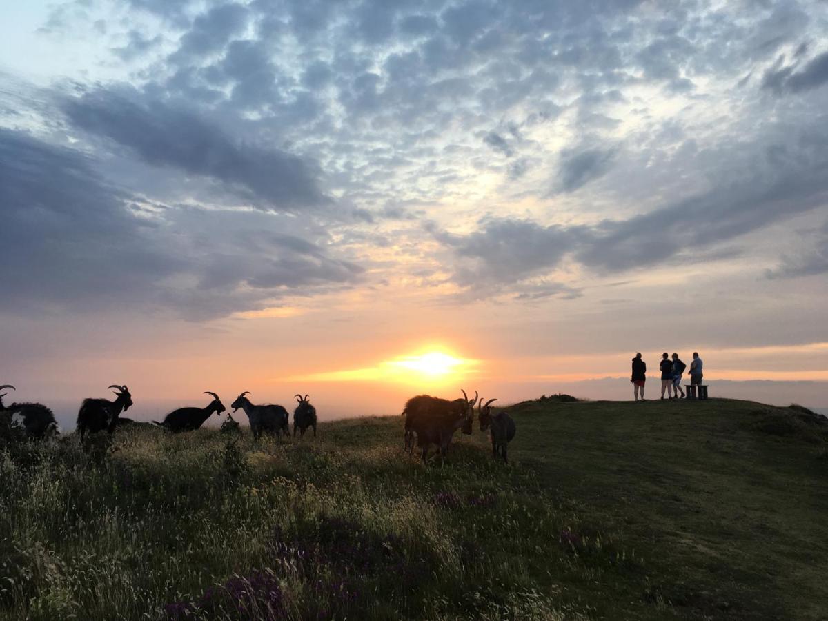 林顿蒂尼斯旅馆住宿加早餐旅馆 外观 照片